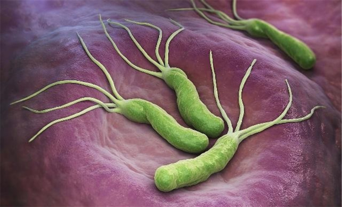 小儿推拿杨晓：儿童感染幽门螺杆菌的原因症状？需不需要检测治疗休闲区蓝鸢梦想 - Www.slyday.coM