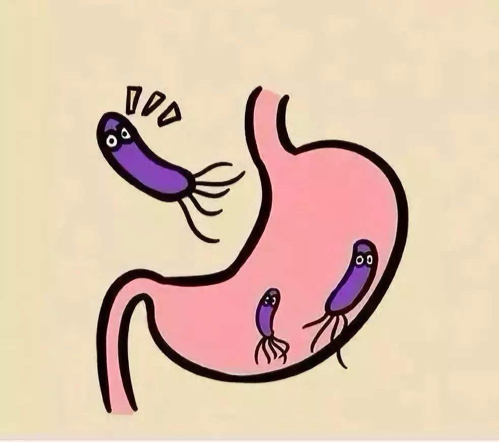 小儿推拿杨晓：儿童感染幽门螺杆菌的原因症状？需不需要检测治疗休闲区蓝鸢梦想 - Www.slyday.coM