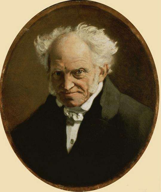 黑格尔构建理性哲学体系而叔本华则贬低理性的作用