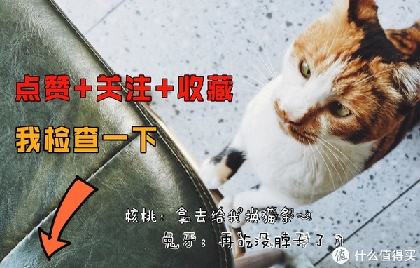 谁说情人节只有女生可以收礼物，这是一份男生肯定喜欢的好物推荐（共四大类14款产品）休闲区蓝鸢梦想 - Www.slyday.coM