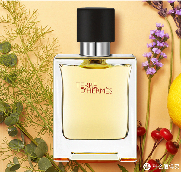 谁说情人节只有女生可以收礼物，这是一份男生肯定喜欢的好物推荐（共四大类14款产品）休闲区蓝鸢梦想 - Www.slyday.coM