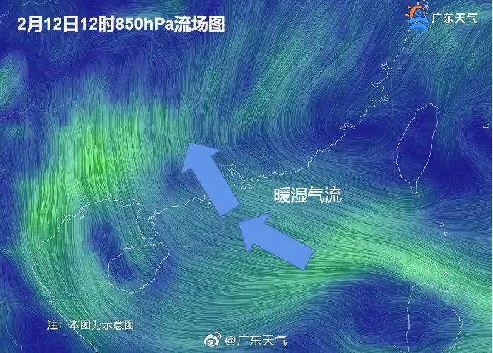 广东省|气温|冷空气_新浪新闻