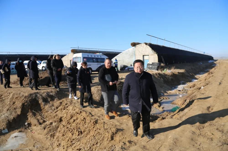 这个特殊的法庭位于辽宁省新民市法哈牛镇桲林子村,被告家的蔬菜大棚