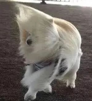 京津冀有大雪！气温骤降10℃！全天冰点以下！休闲区蓝鸢梦想 - Www.slyday.coM