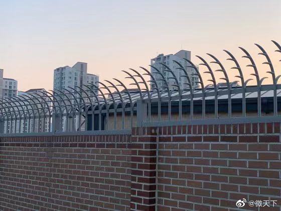 朴槿惠在家乡购置25亿韩元别墅休闲区蓝鸢梦想 - Www.slyday.coM