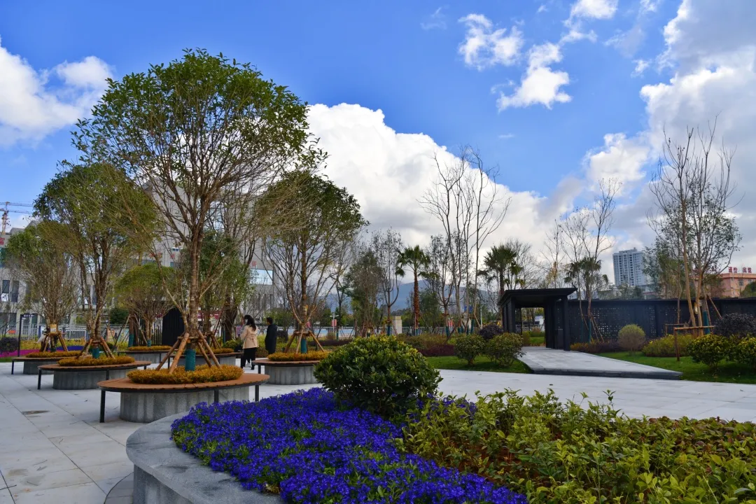 速来报名！五华区这个公园等你来命名休闲区蓝鸢梦想 - Www.slyday.coM