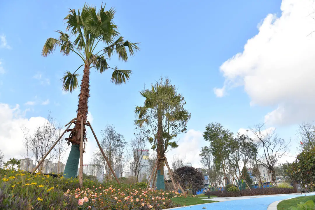 速来报名！五华区这个公园等你来命名休闲区蓝鸢梦想 - Www.slyday.coM