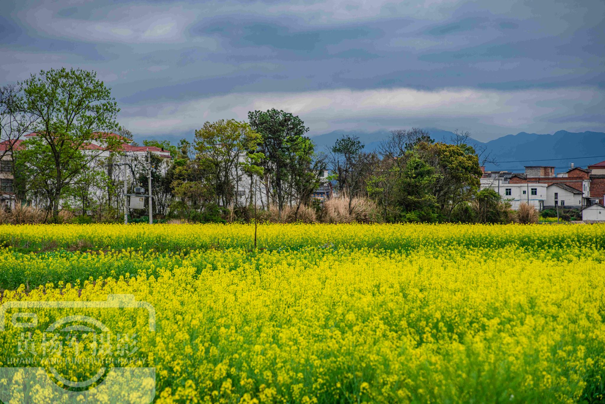 江西最低调的宝藏县，辖9个镇14个乡多山水，油菜花开春色美如画休闲区蓝鸢梦想 - Www.slyday.coM