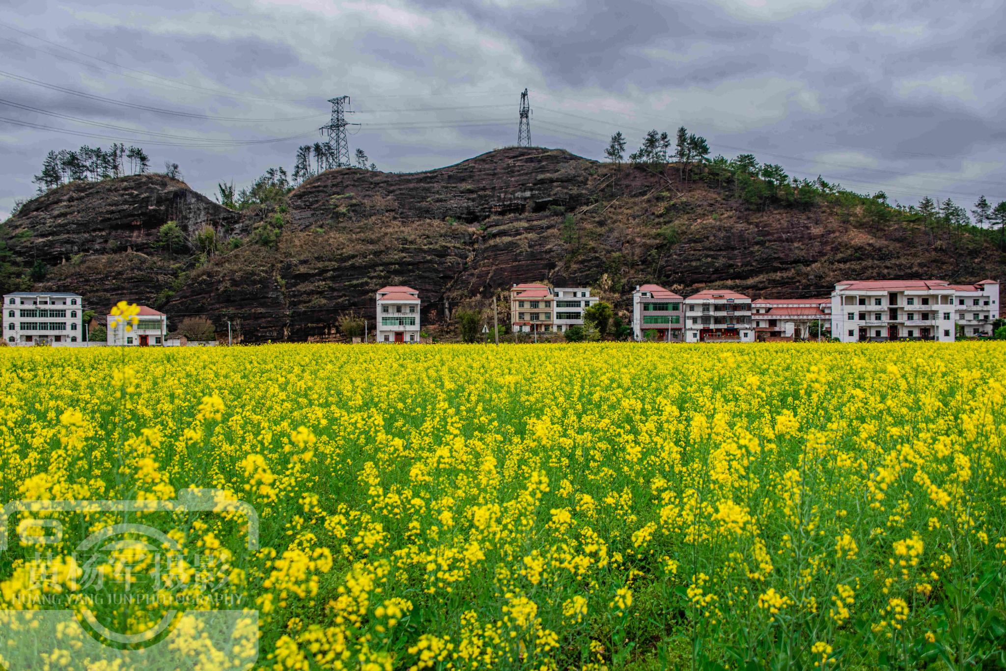 江西最低调的宝藏县，辖9个镇14个乡多山水，油菜花开春色美如画休闲区蓝鸢梦想 - Www.slyday.coM
