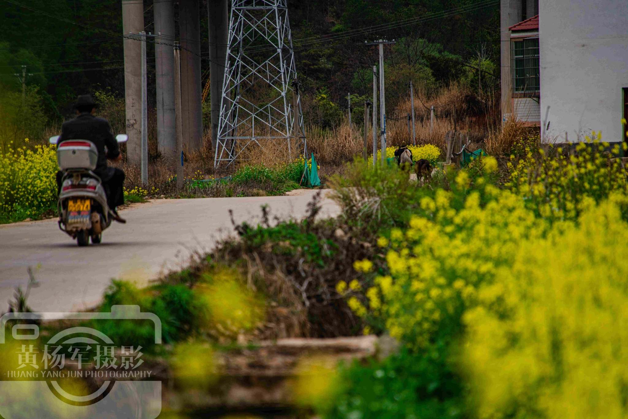 江西最低调的宝藏县，辖9个镇14个乡多山水，油菜花开春色美如画休闲区蓝鸢梦想 - Www.slyday.coM