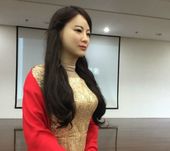 一直以来,人们都在畅想着能拥有一个机器人保姆,甚至是美女机器人妻子