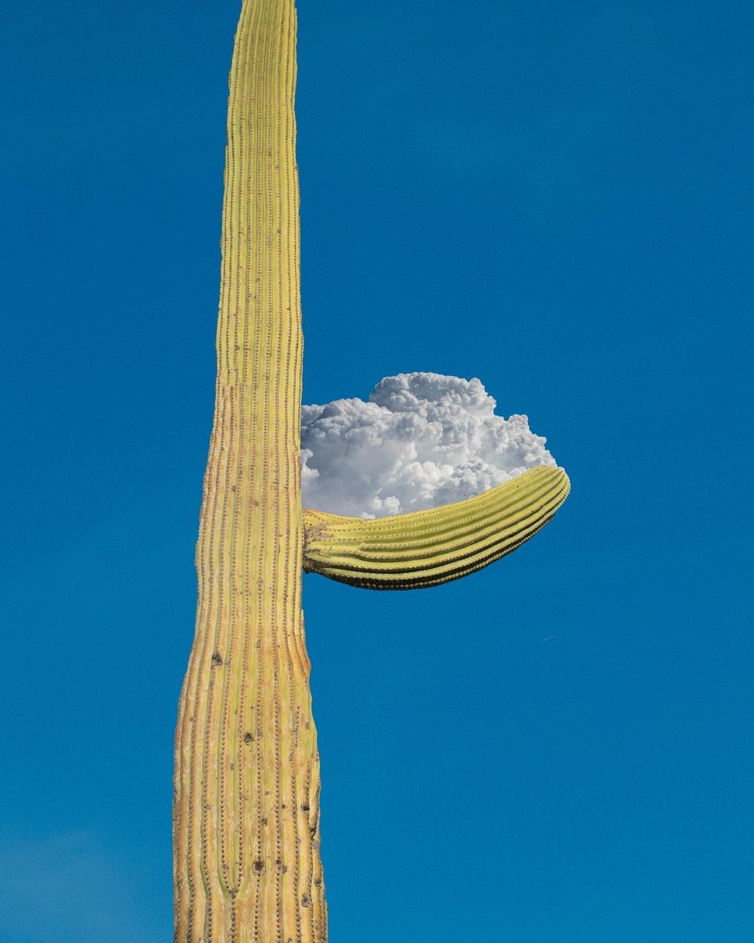 实属巧合 新浪网