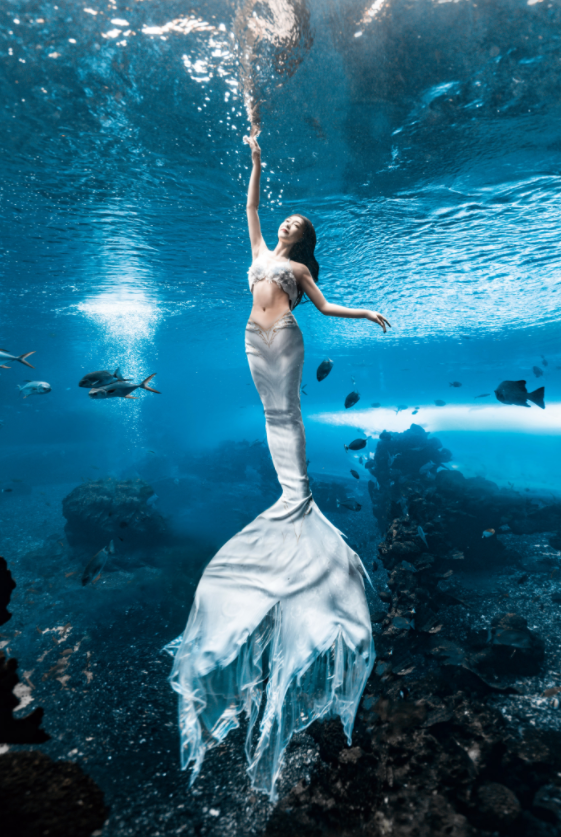 31岁宣璐美人鱼大片太惊艳鱼群中身姿灵动腰肢纤细大长腿瞩目