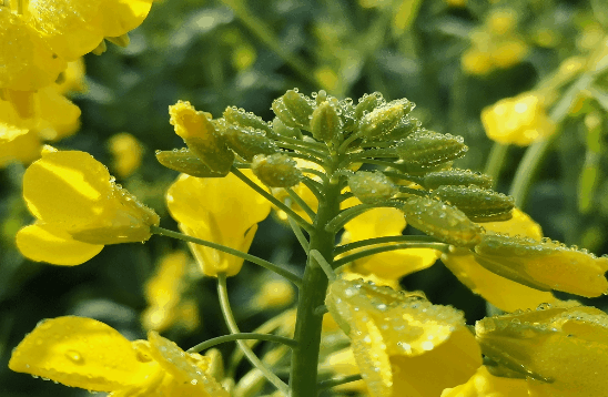 周末，云南湿冷“暴击”模式开启！大范围雨雪来袭覆盖超20省份休闲区蓝鸢梦想 - Www.slyday.coM