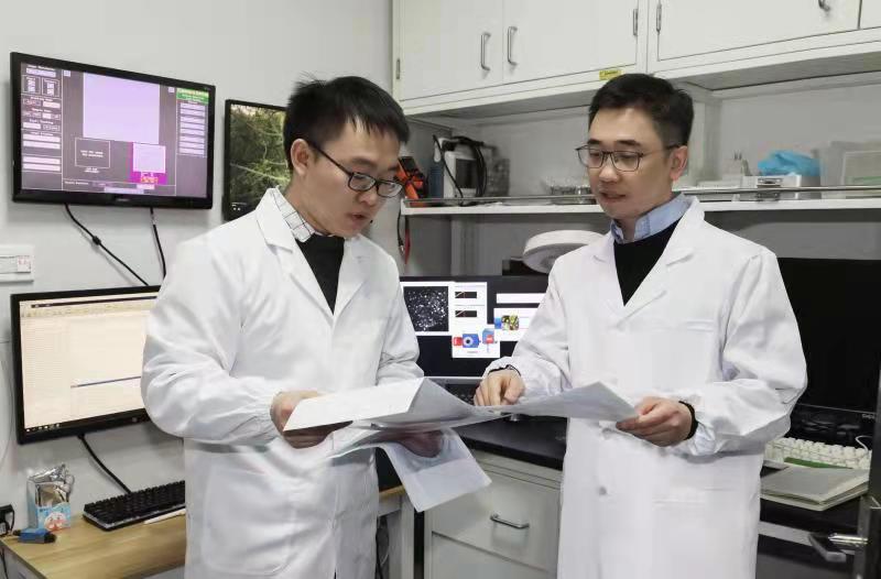 羽生结弦挑战4A时，大脑中的时空信息如何高效整合？最新发现颠覆经典假设休闲区蓝鸢梦想 - Www.slyday.coM