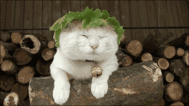 天气休闲区蓝鸢梦想 - Www.slyday.coM