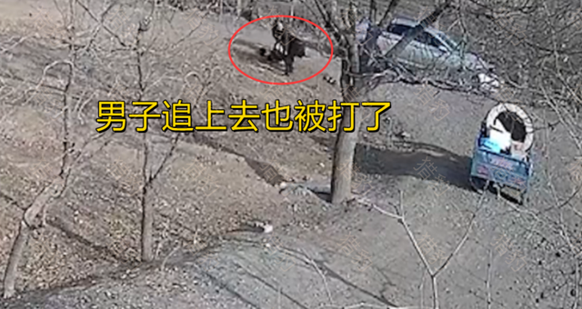 因拿不出50万彩礼，相恋6年女友被父母强行拖走，女子绝望大喊休闲区蓝鸢梦想 - Www.slyday.coM