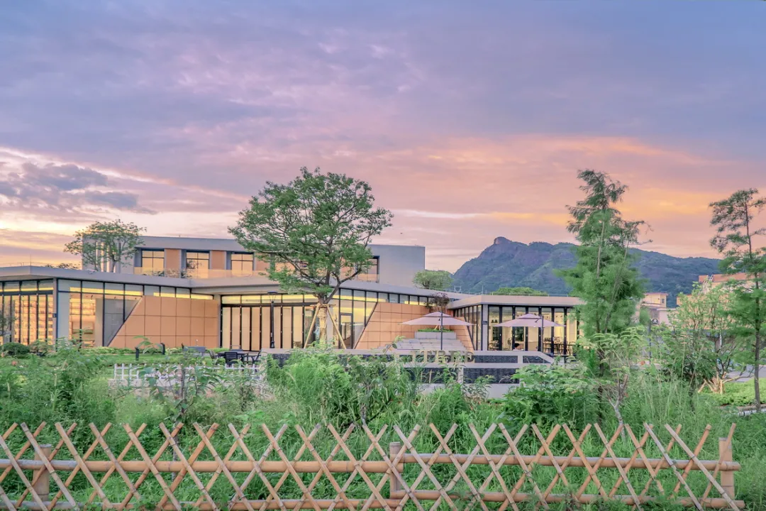 藏在广东韶关丹霞山下古树乡村秘境里的民宿丨爱树丹霞山苑