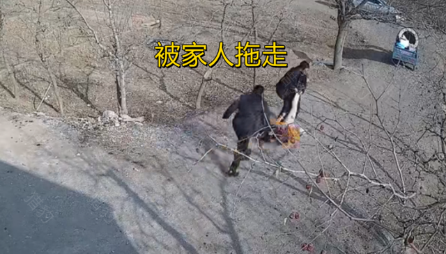 因拿不出50万彩礼，相恋6年女友被父母强行拖走，女子绝望大喊休闲区蓝鸢梦想 - Www.slyday.coM