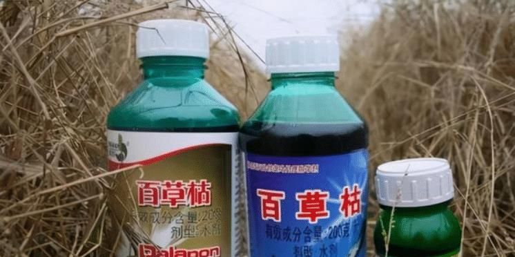 18岁女孩被姐夫投毒百草枯后续：千万人翘首以盼，终于等来了奇迹休闲区蓝鸢梦想 - Www.slyday.coM