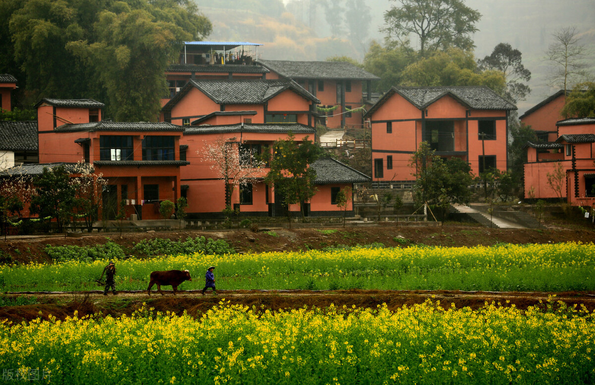 如果说上面浙江某乡镇被忽悠让村里受伤害的话,那么东北某乡镇就被