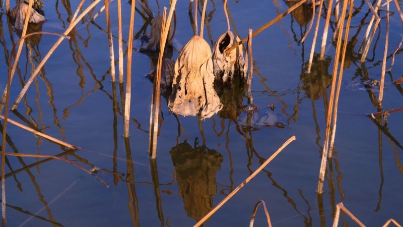 蚂蚁全媒体中心总编刘鑫炜推荐休闲区蓝鸢梦想 - Www.slyday.coM 蚂蚁全媒体中心总编刘鑫炜推荐休闲区蓝鸢梦想 - Www.slyday.coM