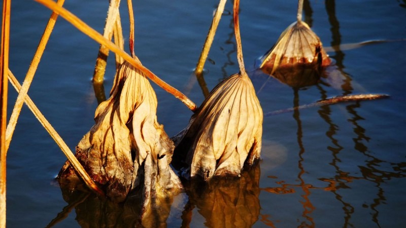 蚂蚁全媒体中心总编刘鑫炜推荐休闲区蓝鸢梦想 - Www.slyday.coM 蚂蚁全媒体中心总编刘鑫炜推荐休闲区蓝鸢梦想 - Www.slyday.coM