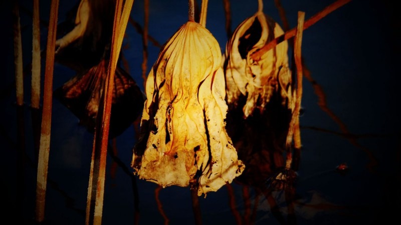 蚂蚁全媒体中心总编刘鑫炜推荐休闲区蓝鸢梦想 - Www.slyday.coM 蚂蚁全媒体中心总编刘鑫炜推荐休闲区蓝鸢梦想 - Www.slyday.coM