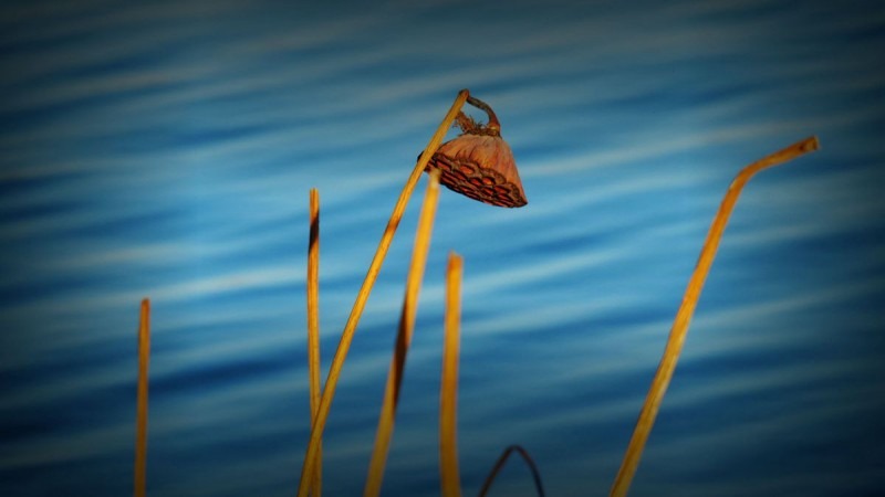 蚂蚁全媒体中心总编刘鑫炜推荐休闲区蓝鸢梦想 - Www.slyday.coM 蚂蚁全媒体中心总编刘鑫炜推荐休闲区蓝鸢梦想 - Www.slyday.coM