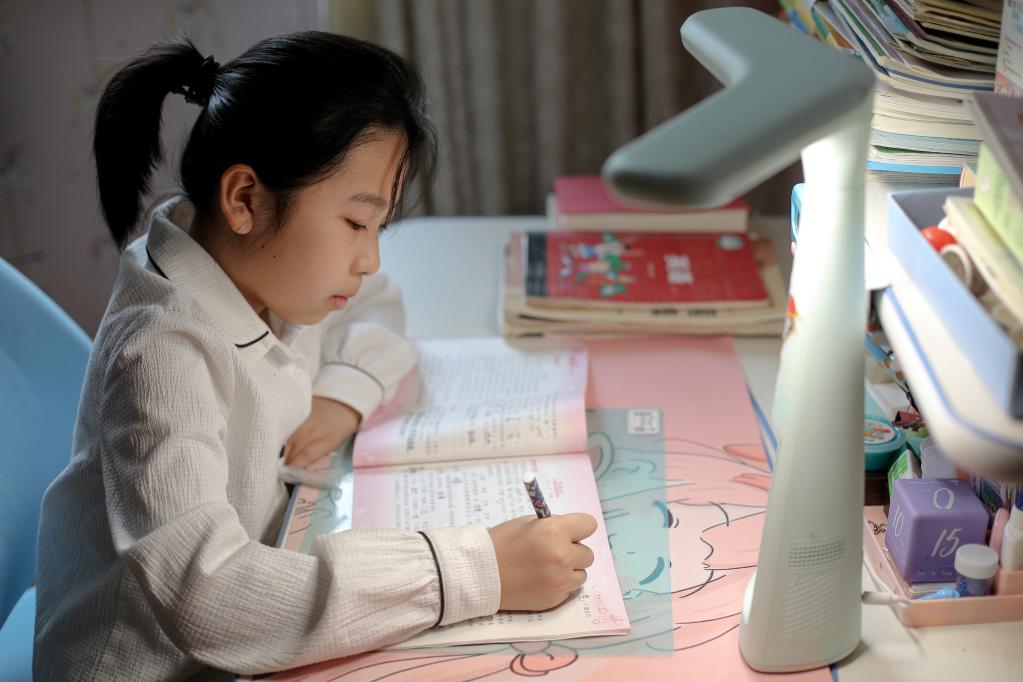 河北省衡水市一名四年级小学生正在专心完成作业。陈康摄