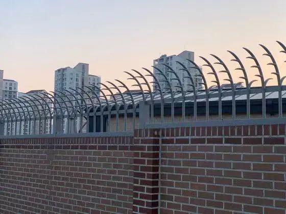 朴槿惠在家乡买的25亿韩元别墅曝光休闲区蓝鸢梦想 - Www.slyday.coM