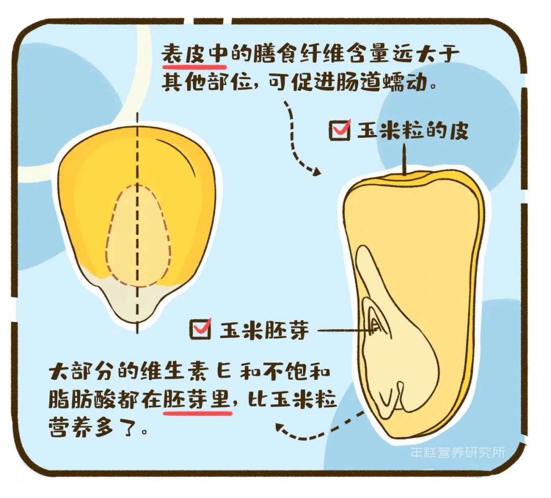 别给娃这样吃玉米营养少一半