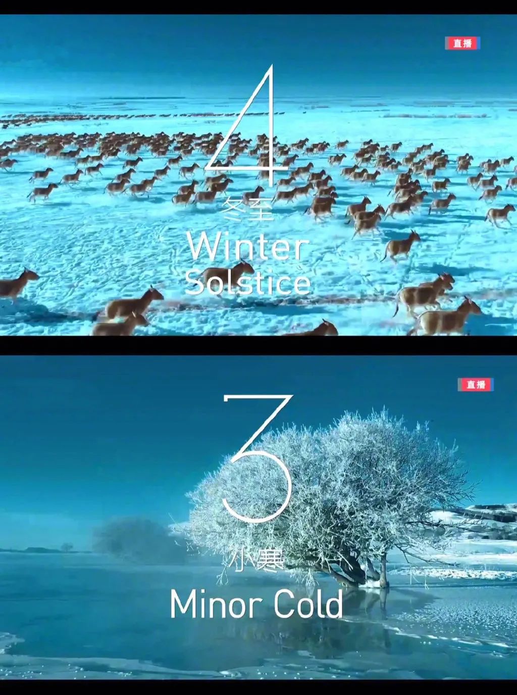 冬奥会24节气英文图片