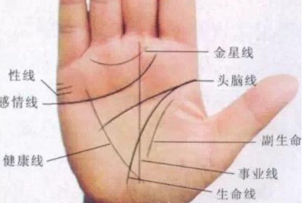 妇人手如姜财帛满仓箱有这种手相的人注定一生大富大贵