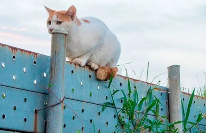 在绘画领域,就有擅于利用视错觉来"骗人"的3d街头艺术,远远看去,画在