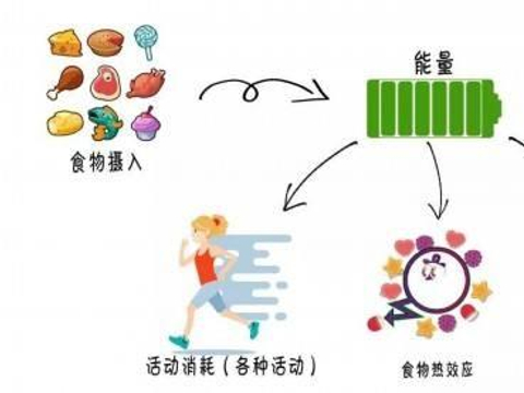 45岁后如何提升代谢 养成规律饮食习惯很重要