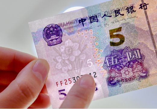 可以说是潜力品种,生活中一旦遇到了要记得留下来,是什么样的新版五元