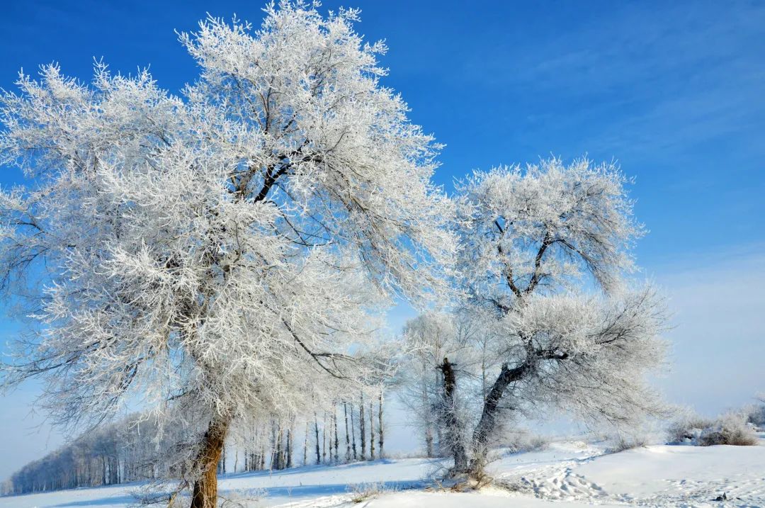 音伴冰天雪地里的快乐