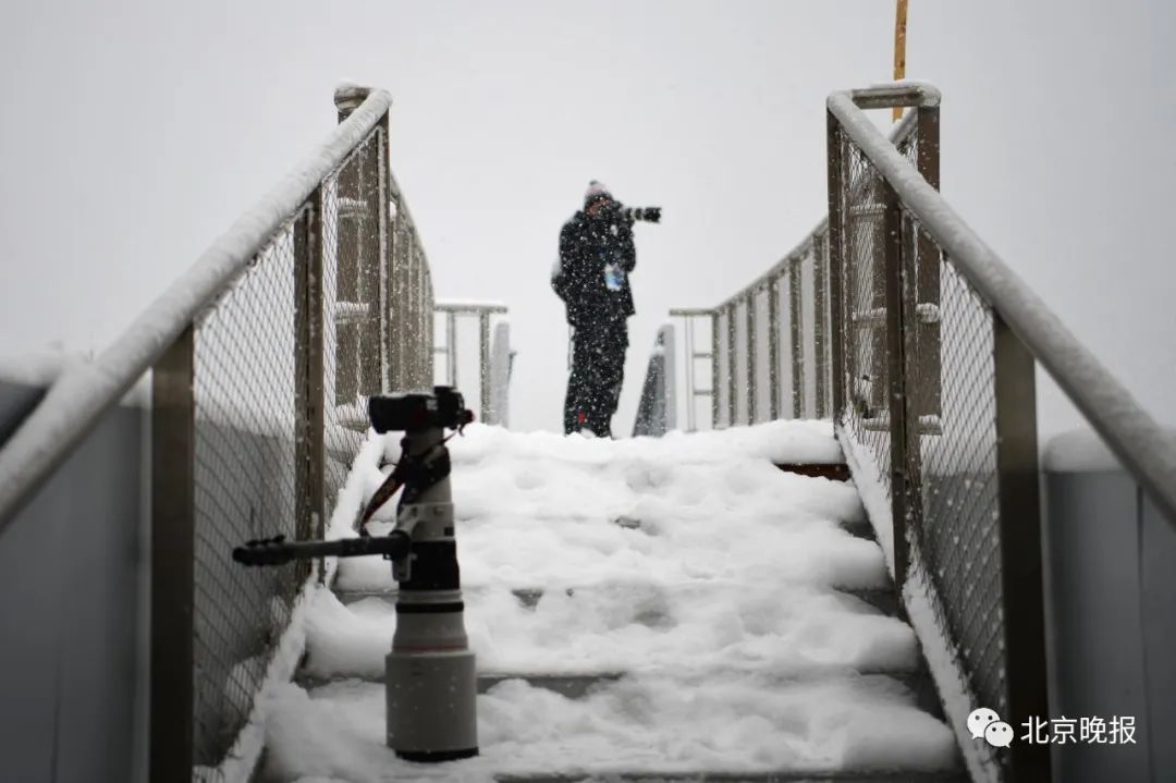 赛场内外堆雪人大赛开始了！外国记者说：“下雪的北京很美”休闲区蓝鸢梦想 - Www.slyday.coM