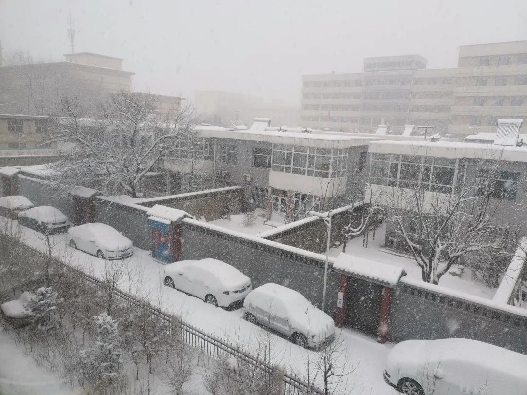 山西大同迎来大雪。网友供图