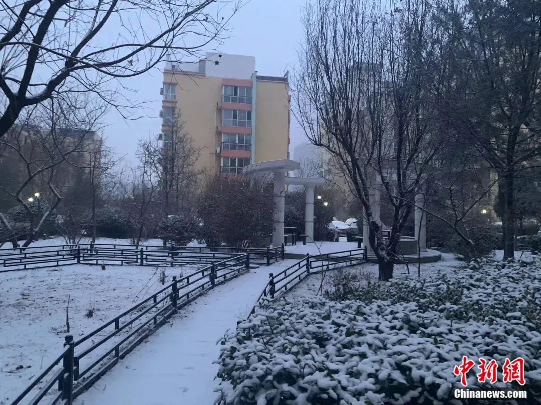 2月13日，北京迎虎年首场降雪。张燕玲 摄