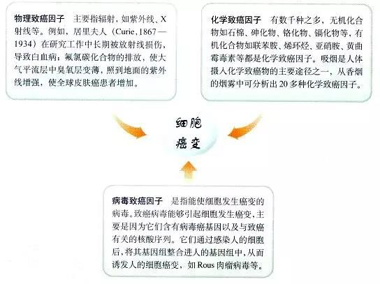 长期不发烧，是好事还是坏事？不发烧更容易得癌症？休闲区蓝鸢梦想 - Www.slyday.coM