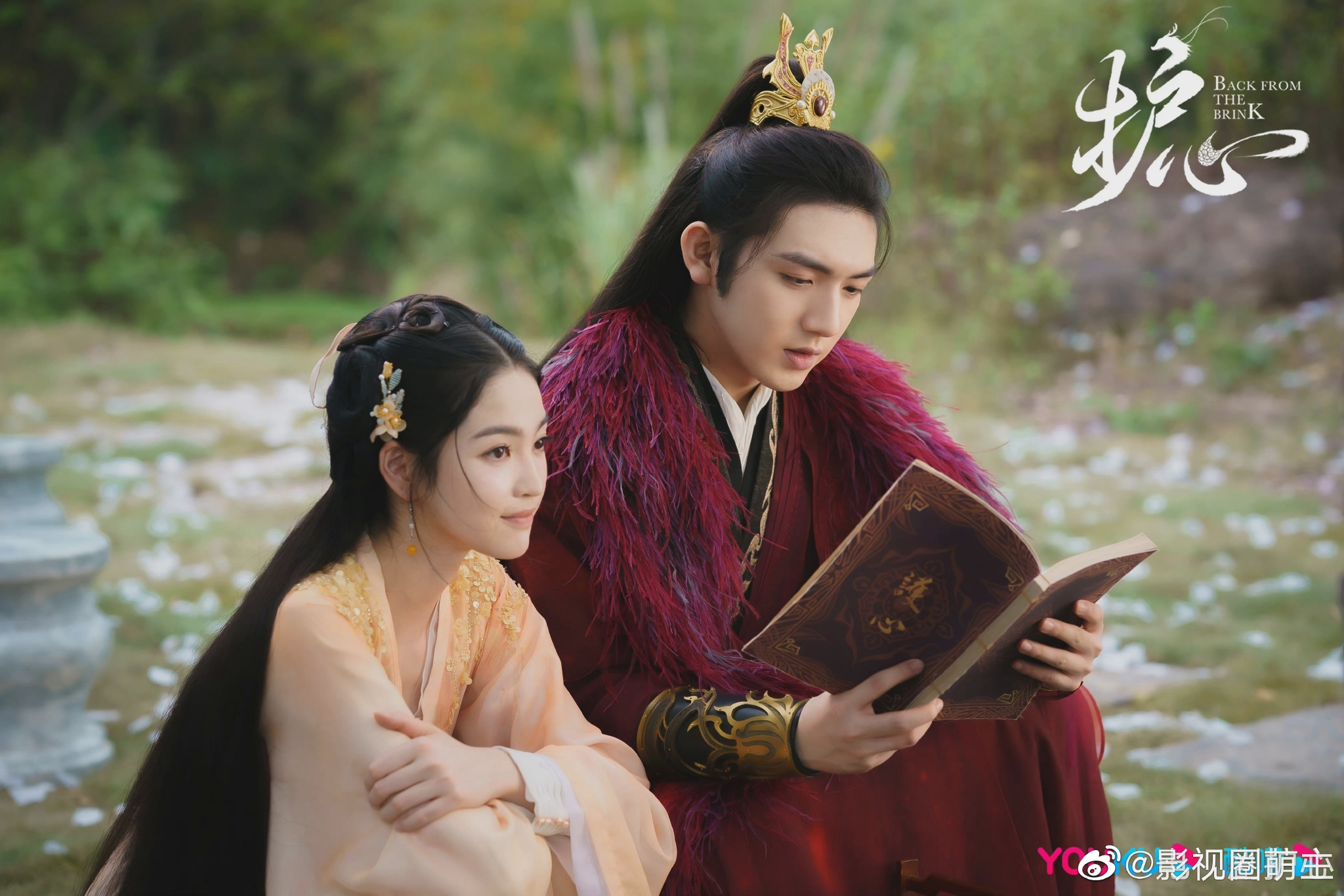 &张俪&王子异&李泽锋《梦华录》刘亦菲&陈晓《护心》周也&侯明昊