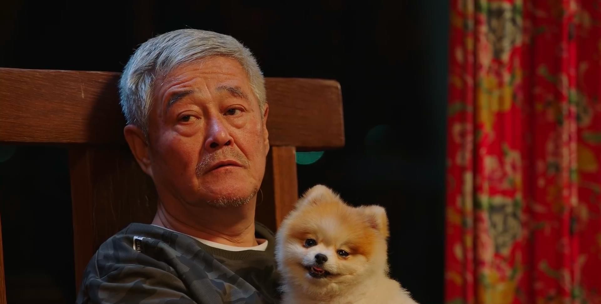 杨晓燕不可能离开王大拿乡村爱情14还要给她安排其他任务