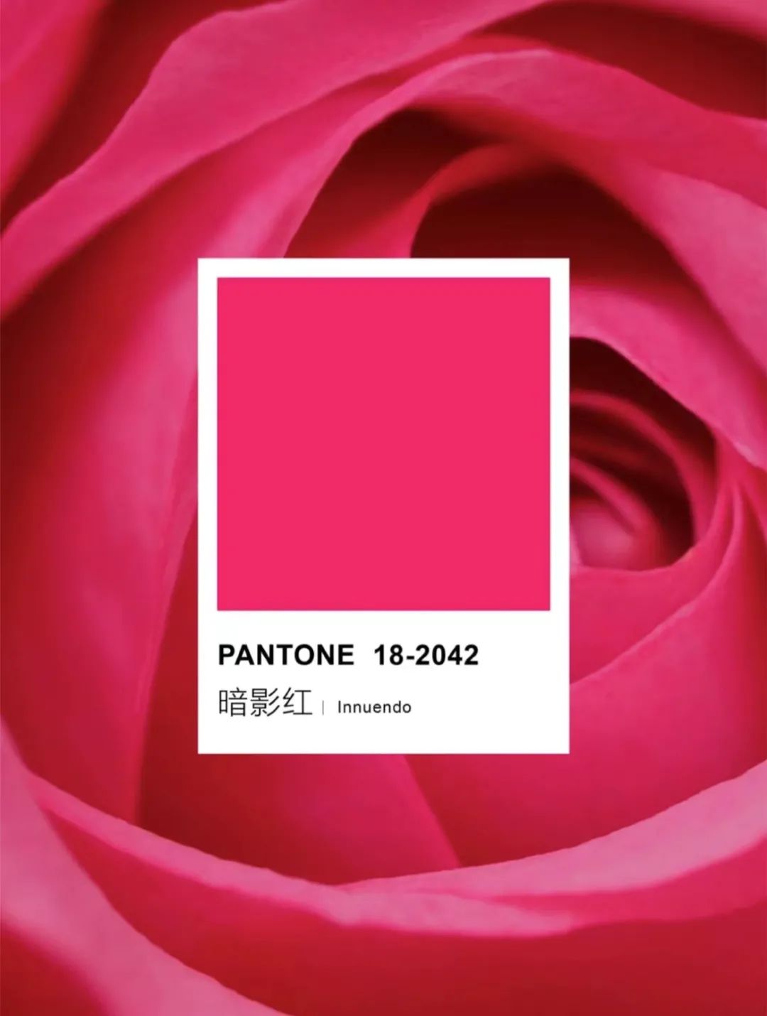 别再克莱因蓝了2022初春流行这几个颜色