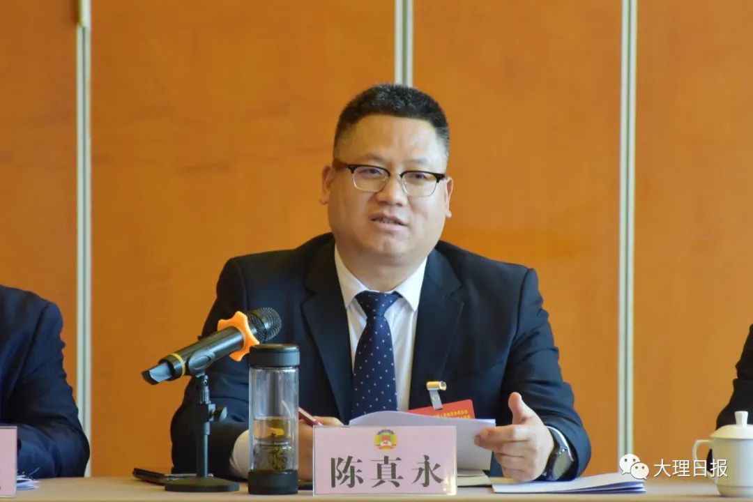 陈真永参加州政协十四届一次会议委员分组讨论