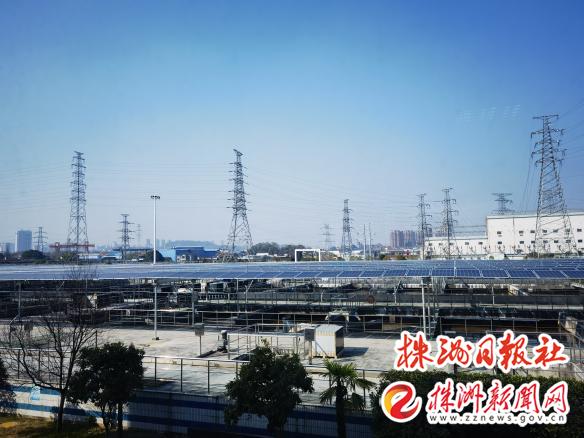 向阳而生 拥抱双碳时代