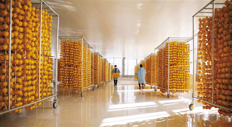 乔彬彬:让富平柿饼在网上一炮而红