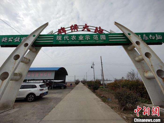 位于江苏盐城大丰区白驹镇的锦绣大地现代农业示范园. 谷华 摄