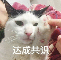 连情人节都不过的对象，是比谷爱凌还忙吗？休闲区蓝鸢梦想 - Www.slyday.coM